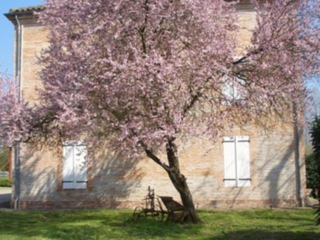 Le Platane Acomodação com café da manhã Lafrançaise Exterior foto